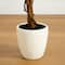 5ft. Artificial Fall Double Trunk Maple Autumn Tree in Decorative White Planter